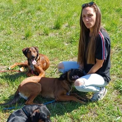 Une éducatrice accroupie dans l'herbe avec trois chiens couchés autour d'elle
